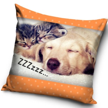 Cat ZZZ  Dog Cushion Cover 40x40 cm