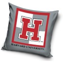 Harvard  pillowcase 40*40 cm
