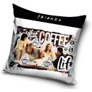 Friends pillowcase 40*40 cm