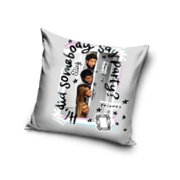 Friends Party 40x40 cm Velour Cushion Cover