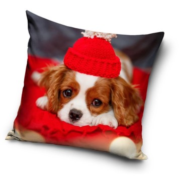 Dog pillow cover 40*40 cm