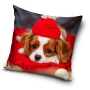 Dog pillow cover 40*40 cm