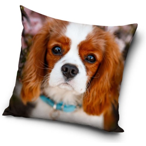 Dog pillowcase 40*40 cm