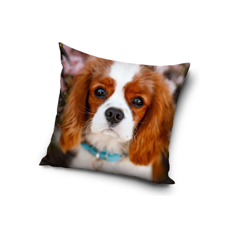 Dog pillowcase 40*40 cm