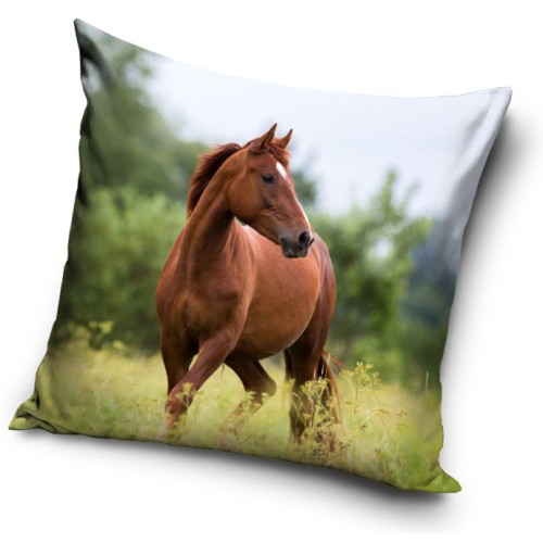 Horses Freedom cushion cover 40x40 cm Velour