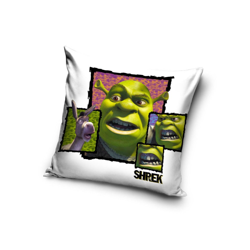 Shrek pillow cover 40x40 cm Velvet