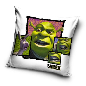 Shrek pillow cover 40x40 cm Velvet