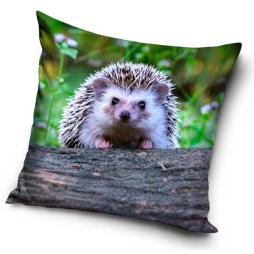 Hedgehog pillowcase 40*40 cm