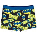 Batman the Dark Knight children's swim trunks, shorts 4-10 years
