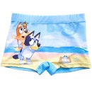 Bluey Beach  children's swimming trunks, shorts 98-128 cm