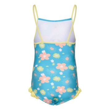 Disney Frozen Garden Paradise children's swimsuit, swimming 4-8 years
