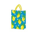 Colour Neon Lemon Gift Bag 18x10x23 cm