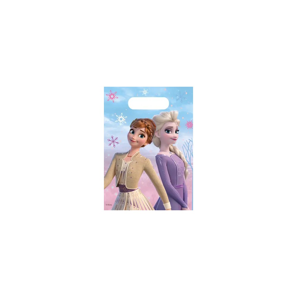 Disney Frozen Wind  gift bag, pack of 6