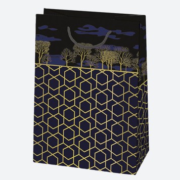 Colour For You Black Gold patterned paper gift bag 23x32x11 cm