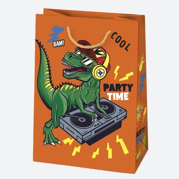 Colour Party Boys' paper gift bag, 23x32x11 cm