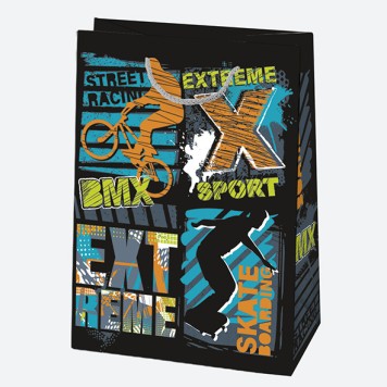 Colour Party Boys' paper gift bag, 23x32x11 cm
