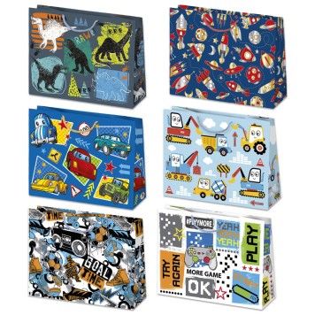 Colour Blossom Boys' Party paper gift bag, gift bag 30x23x10 cm