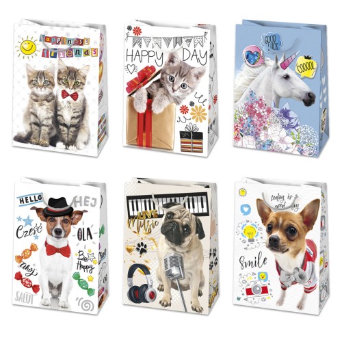 Happy Birthday Friends Happy Birthday paper gift bag 23x32x11 cm