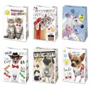 Happy Birthday Friends Happy Birthday paper gift bag 23x32x11 cm