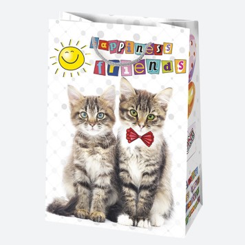Happy Birthday Friends Happy Birthday paper gift bag 23x32x11 cm