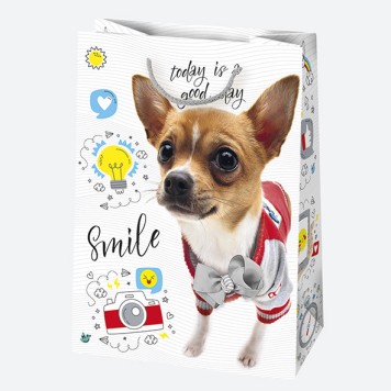 Happy Birthday Friends Happy Birthday paper gift bag 23x32x11 cm