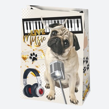 Happy Birthday Friends Happy Birthday paper gift bag 23x32x11 cm