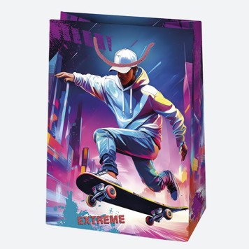 Vehicle Extreme sport paper gift bag, gift bag 23x32x11 cm