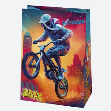Vehicle Extreme sport paper gift bag, gift bag 23x32x11 cm