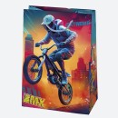 Vehicle Extreme sport paper gift bag, gift bag 23x32x11 cm