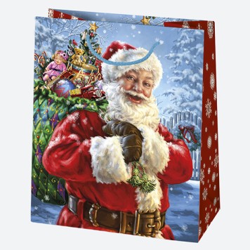 Christmas Miracle paper gift bag, gift bag 19x23x10.5 cm