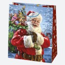 Christmas Miracle paper gift bag, gift bag 19x23x10.5 cm