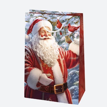 Christmas Santa Claus paper gift bag 10x16x6 cm