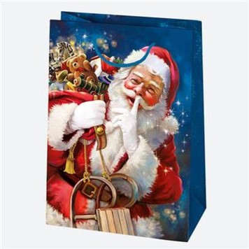 Christmas Toyland paper gift bag 23x32x11 cm