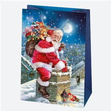 Christmas Toyland paper gift bag 23x32x11 cm