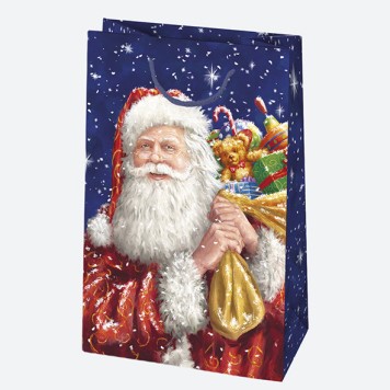 Christmas Winter World paper gift bag 16x24x7 cm