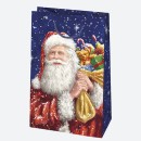 Christmas Winter World paper gift bag 16x24x7 cm