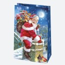 Christmas Winter World paper gift bag 16x24x7 cm