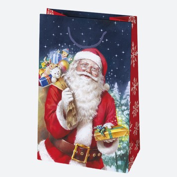 Christmas Winter World paper gift bag 16x24x7 cm