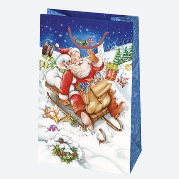 Christmas Winter World paper gift bag 16x24x7 cm