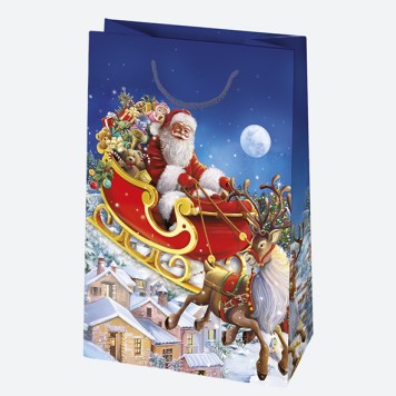 Christmas Wishes paper gift bag 16x24x7 cm