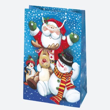Christmas Wishes paper gift bag 16x24x7 cm
