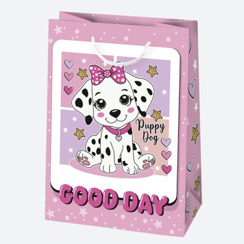 Colour Colorful Girl's paper gift bag, 23x32x11 cm