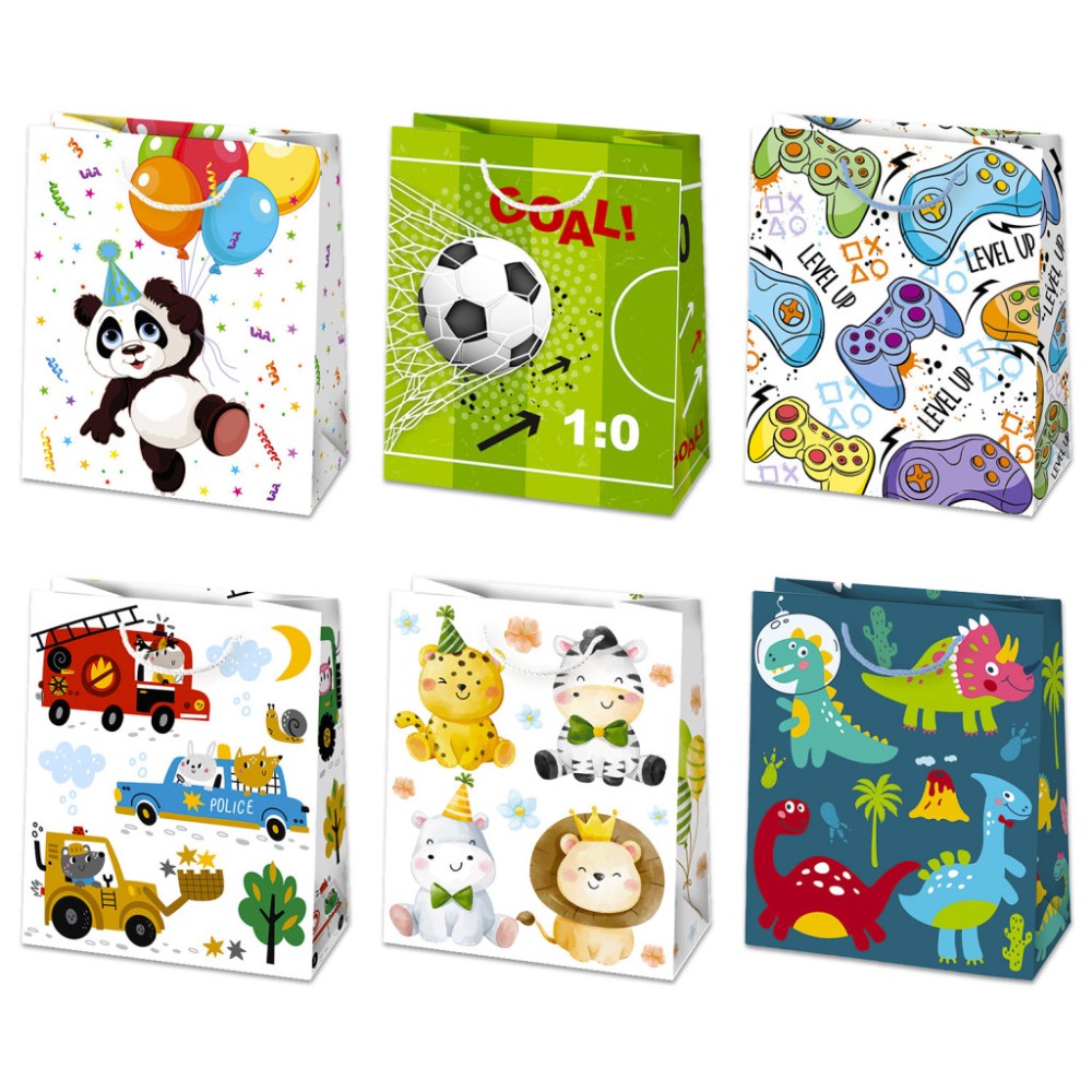 Party Boyish paper gift bag 19x23x10.5 cm
