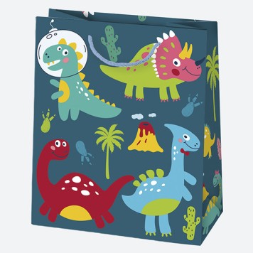 Party Boyish paper gift bag 19x23x10.5 cm