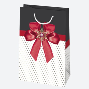 Colour Bow paper gift bag 16x24x7 cm