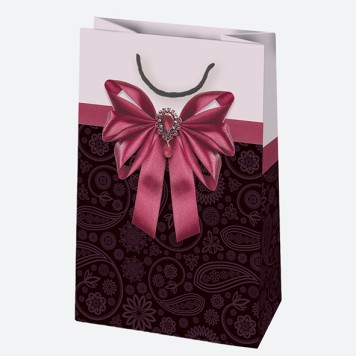 Colour Bow paper gift bag 16x24x7 cm