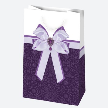 Colour Bow paper gift bag 16x24x7 cm