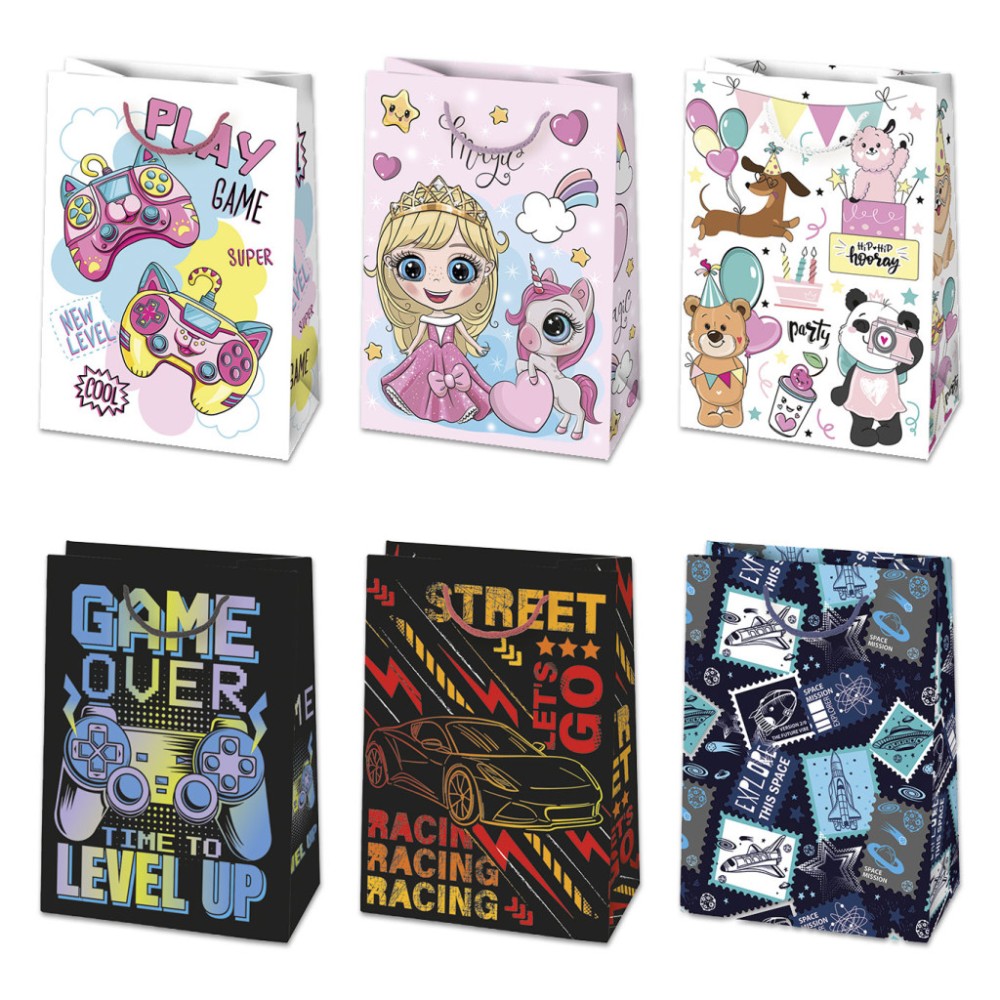 Colour Party paper gift bag 23x32x11 cm