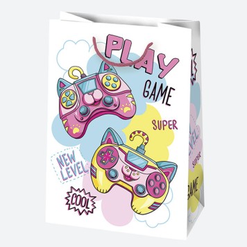 Colour Party paper gift bag 23x32x11 cm