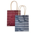 Colour Striped paper gift bag set of 6